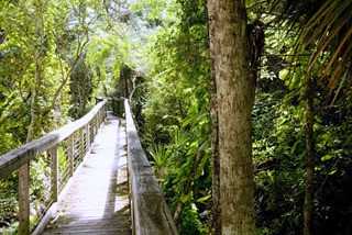 5300 S Atlantic Ave #3502