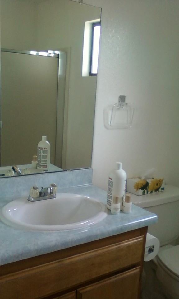 10608 San Emidio St - Photo 3 of 11