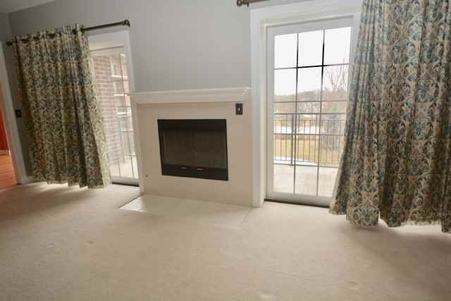 6655 S Cass Ave #3A - Photo 3 of 22