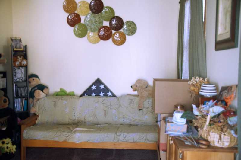 255 S Hannevig Ave - Photo 2 of 14