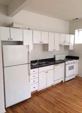 2009 W. Cortez/1022-24 N. Damen - Photo 3 of 29