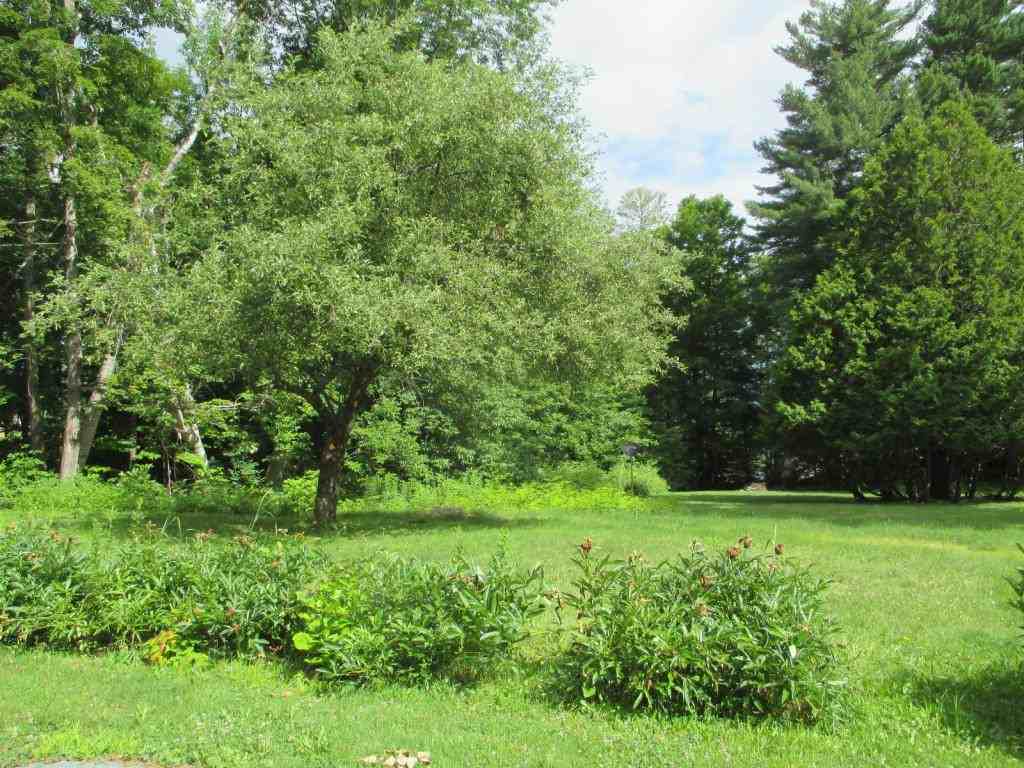 38 Berkley St - Photo 3 of 23