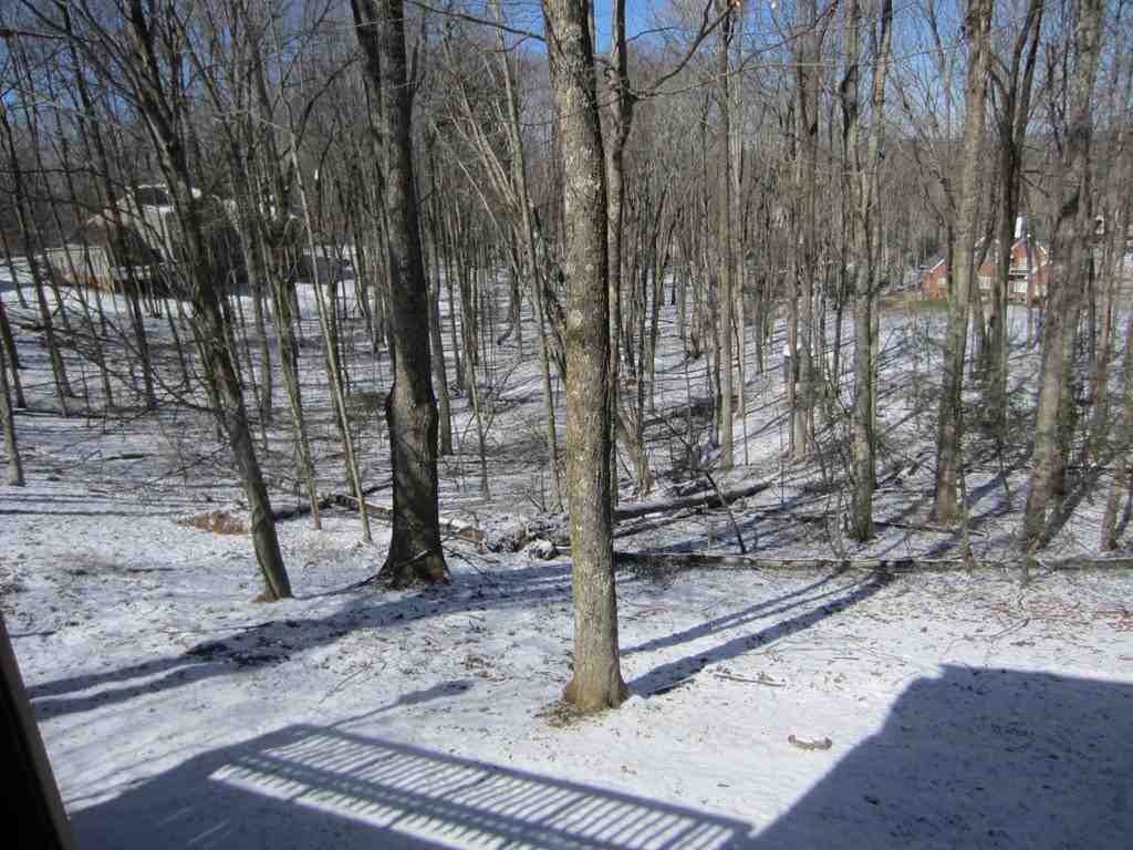 203 Dogwood Ct - Photo 2 of 26