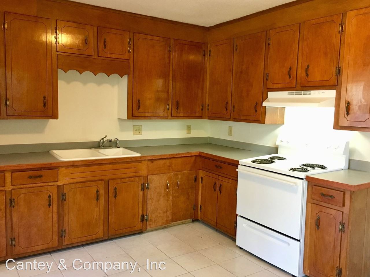 113 Lambeth Dr - Photo 3 of 10