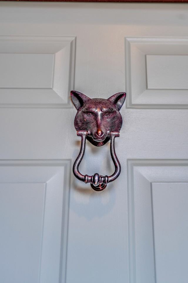 1119 Bay Hill Dr - Photo 3 of 46