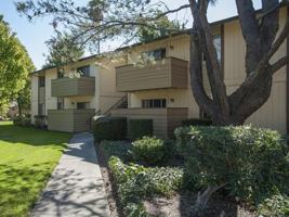 featured image of 2450 Peach Tree Dr