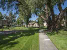 featured image of 2450 Peach Tree Dr