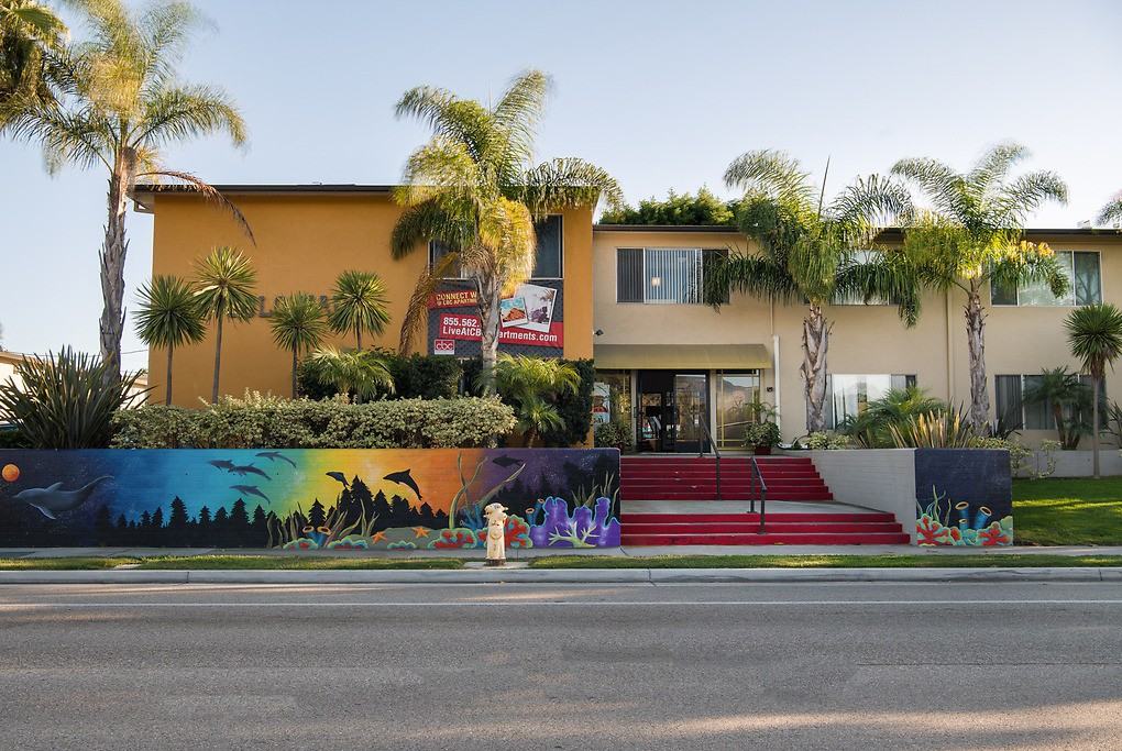 CBC and The Sweeps - Photo 3 of 22