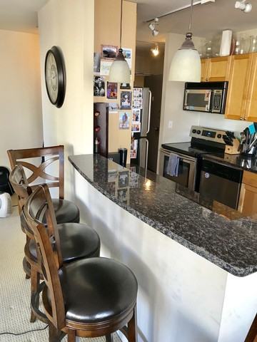 1360 North Sandburg Terrace ##902C