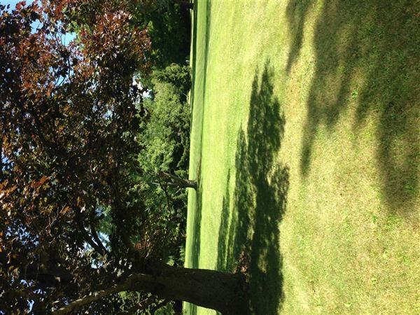 1730 S Dearing Rd - Photo 2 of 16