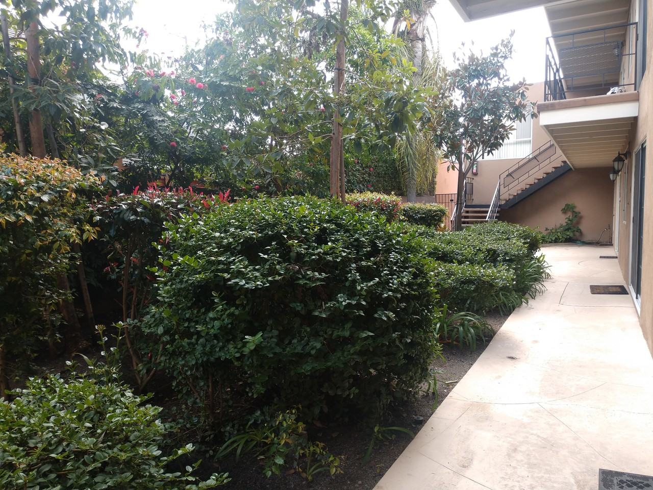 3020 E Mariquita St - Photo 3 of 3