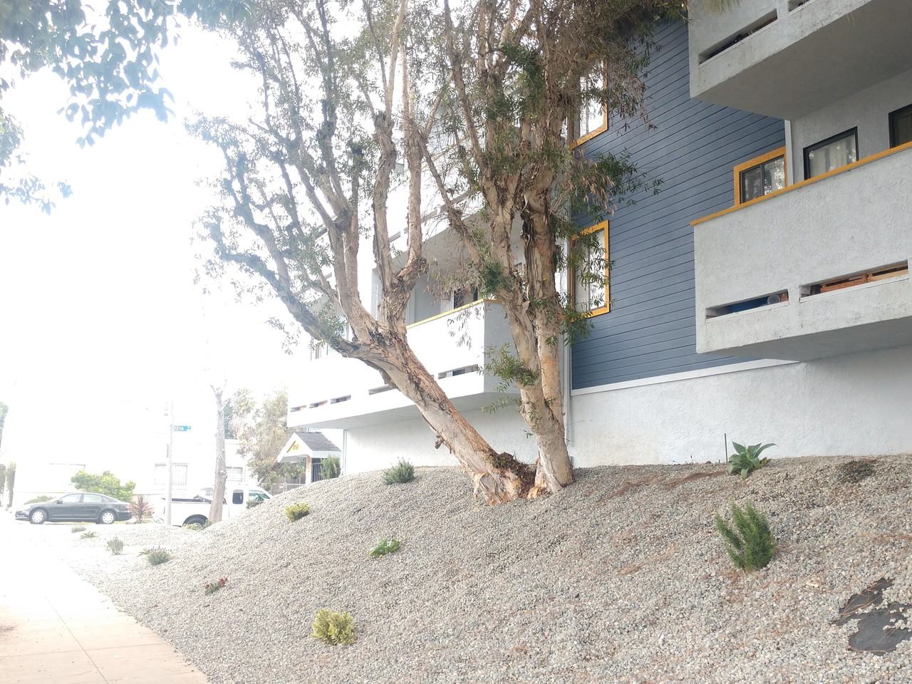 1152 Pine Ave - Photo 3 of 5