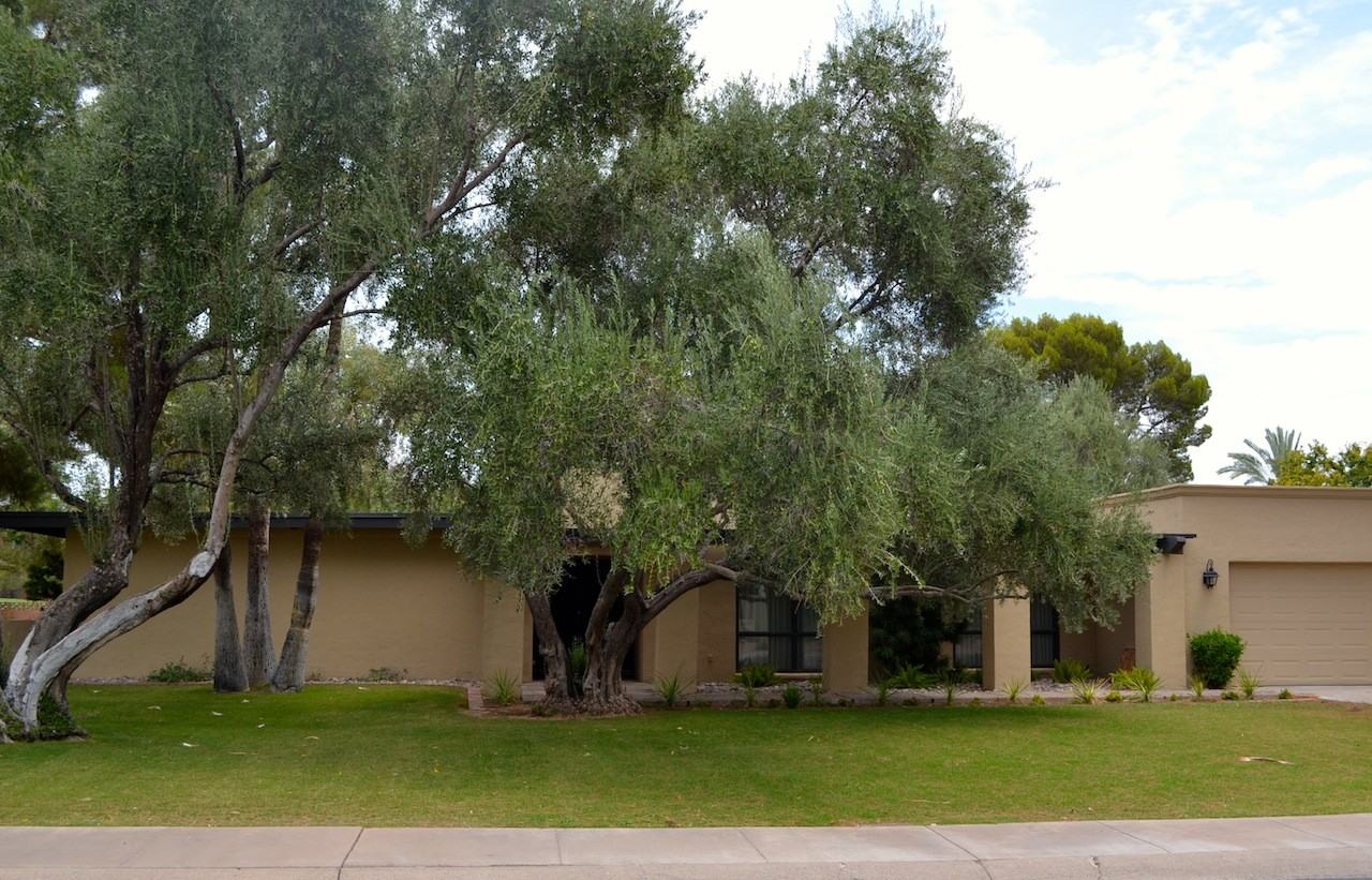 819 W Moon Valley Dr - Photo 2 of 19