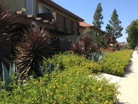 615 Fredricks Avenue #166 - Photo 1 of 1