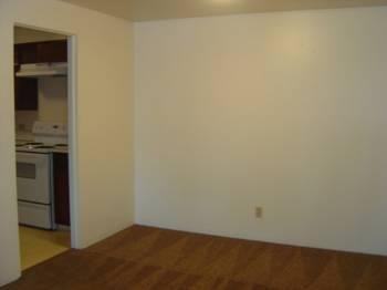3818 Alameda St - Photo 2 of 20