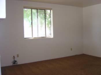 3818 Alameda St - Photo 3 of 20