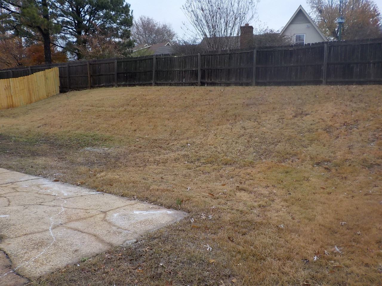 5022 Cottage Ln - Photo 3 of 7