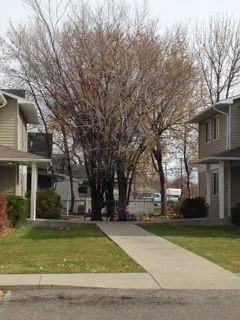 Townsite Apartments - Photo 2 of 4