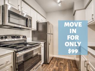 7650 Springhill St Apt 704 Houston Tx 77021 2 Bedroom Apartment