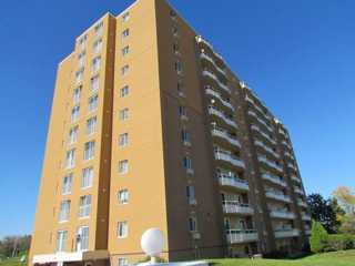 133 Park Street Kitchener On N2g 1 Bedroom Apartment For