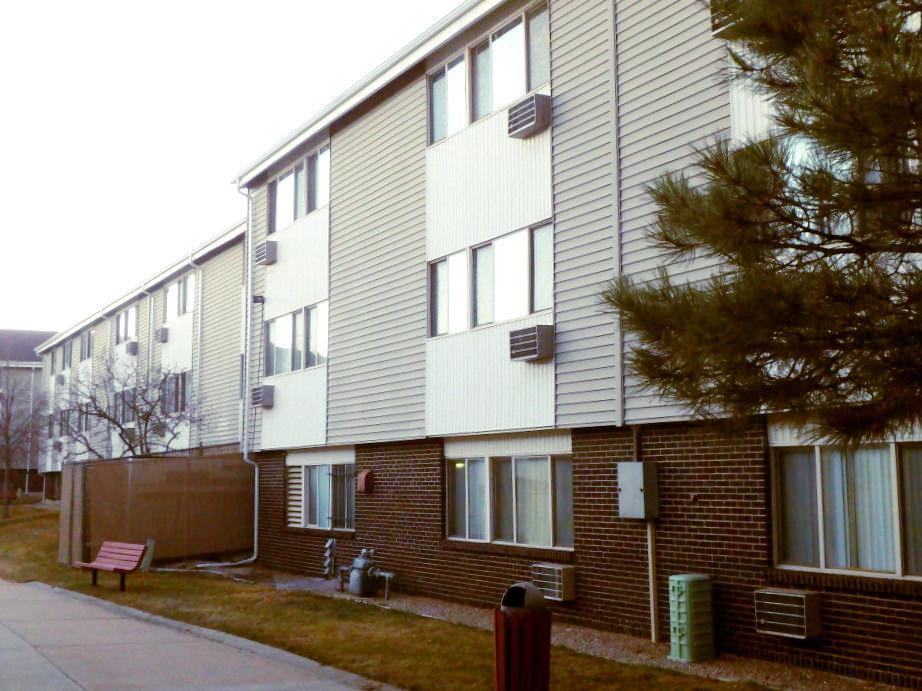 Fir Tree - No Availability until October - Photo 2 of 21