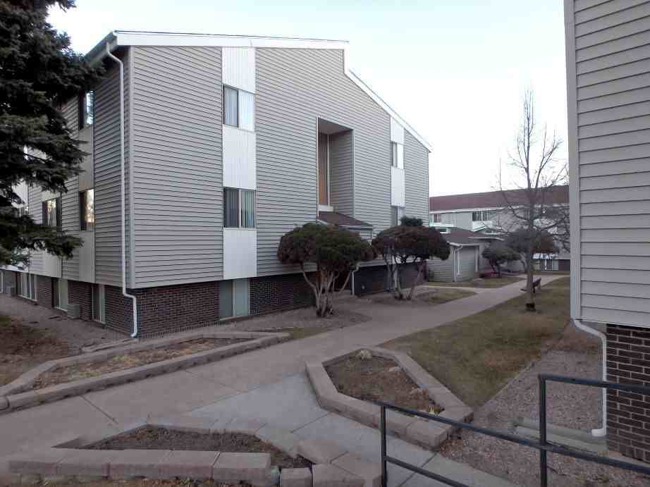 Fir Tree - No Availability until October - Photo 3 of 21