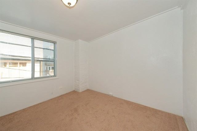 2422 N Ashland Ave - Photo 4 of 16