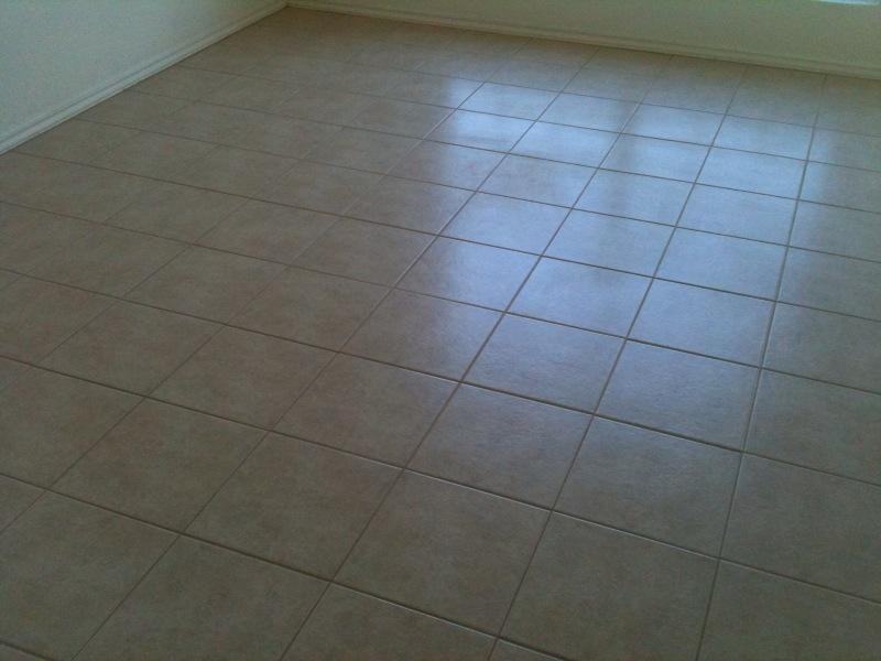 3804 Gus - Photo 3 of 11