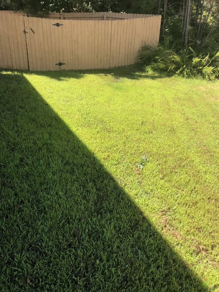 221 Remington Court - Photo 3 of 5