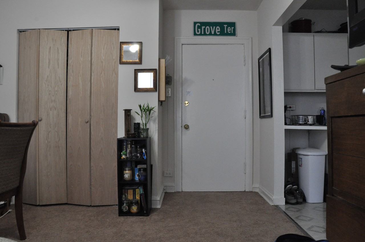 641 W Aldine - Photo 2 of 11