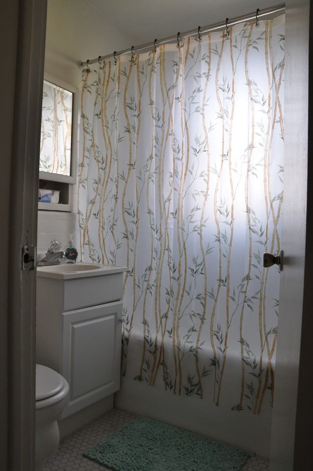 641 W Aldine - Photo 3 of 11