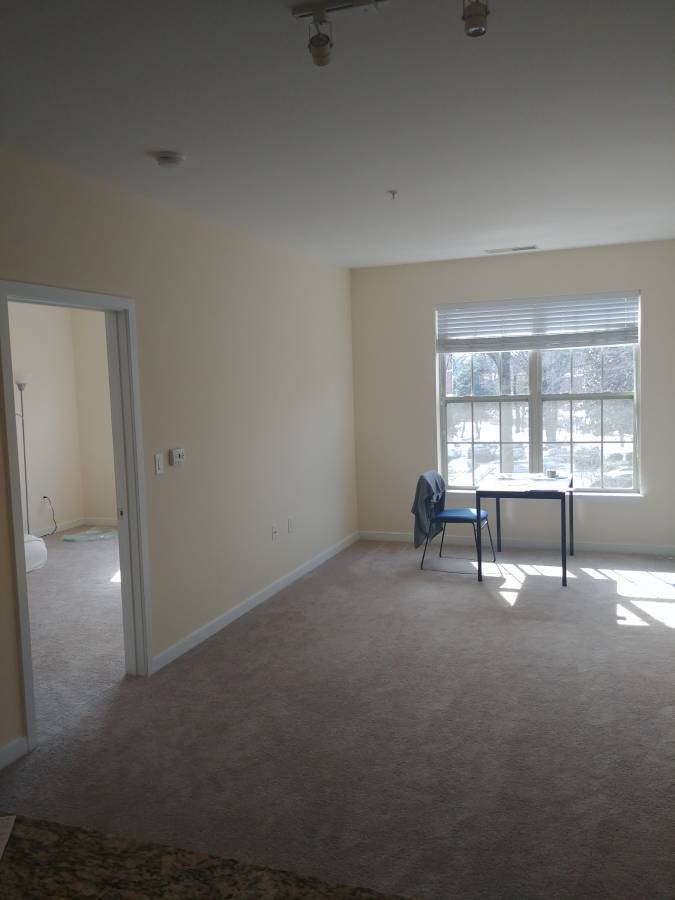 4401 4th Street North - Photo 3 of 16