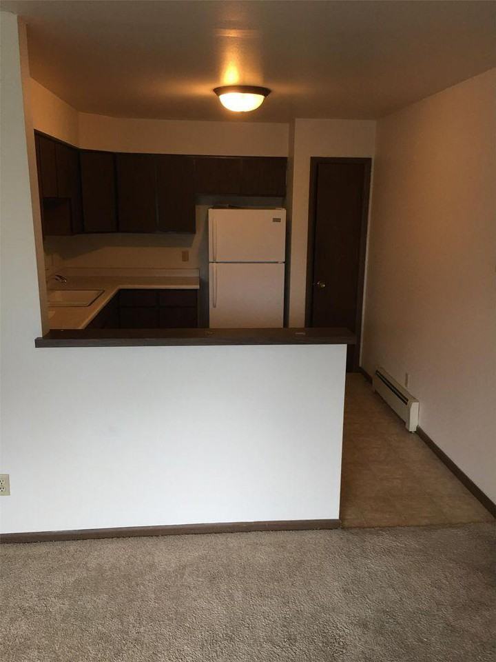 219 E Waupun St - Photo 3 of 6