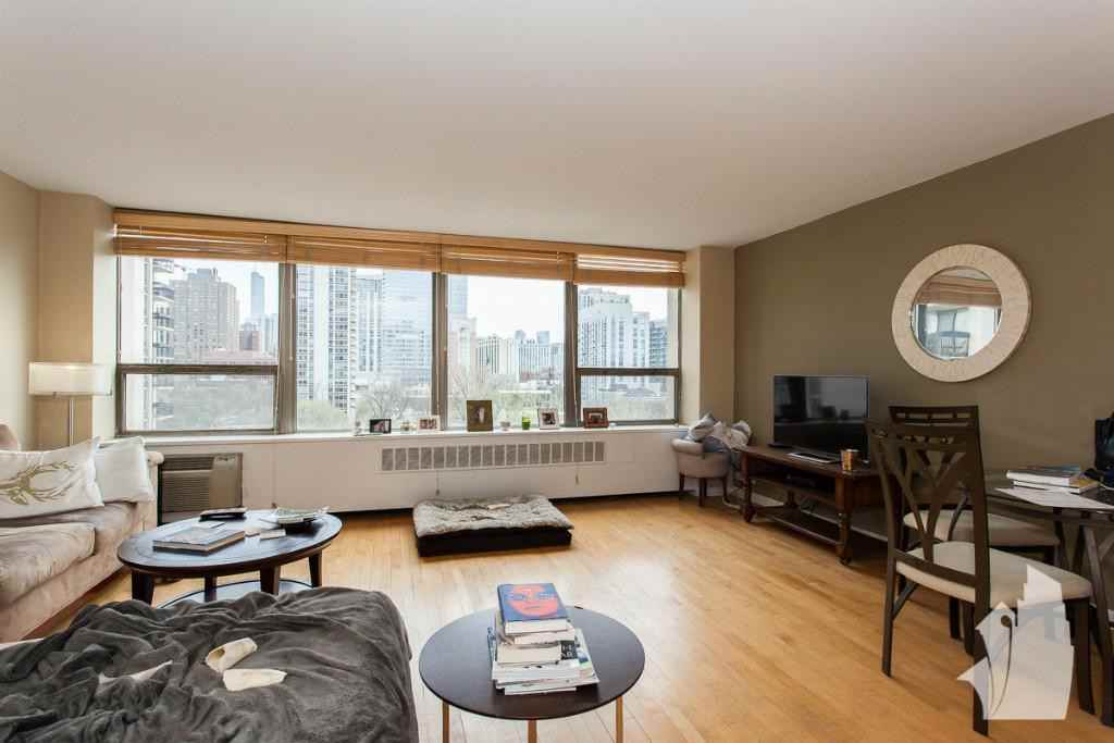 1360 North Sandburg Terrace