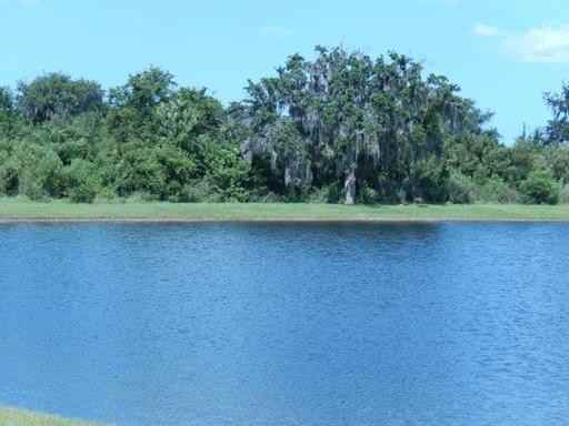 10118 Mallard Landings Way - Photo 3 of 12