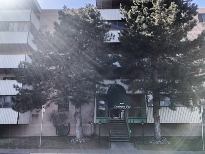 1011 S Ironton St #110