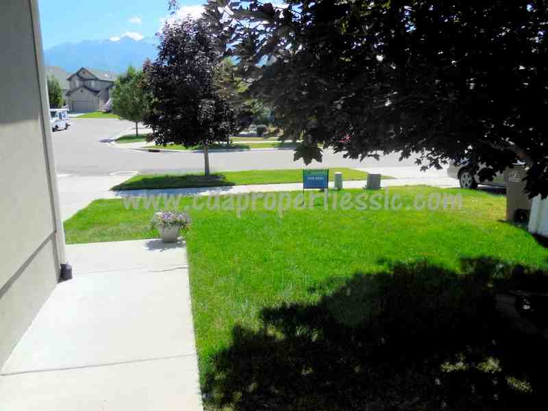 11734 Bubbling Brook Ln - Photo 3 of 41