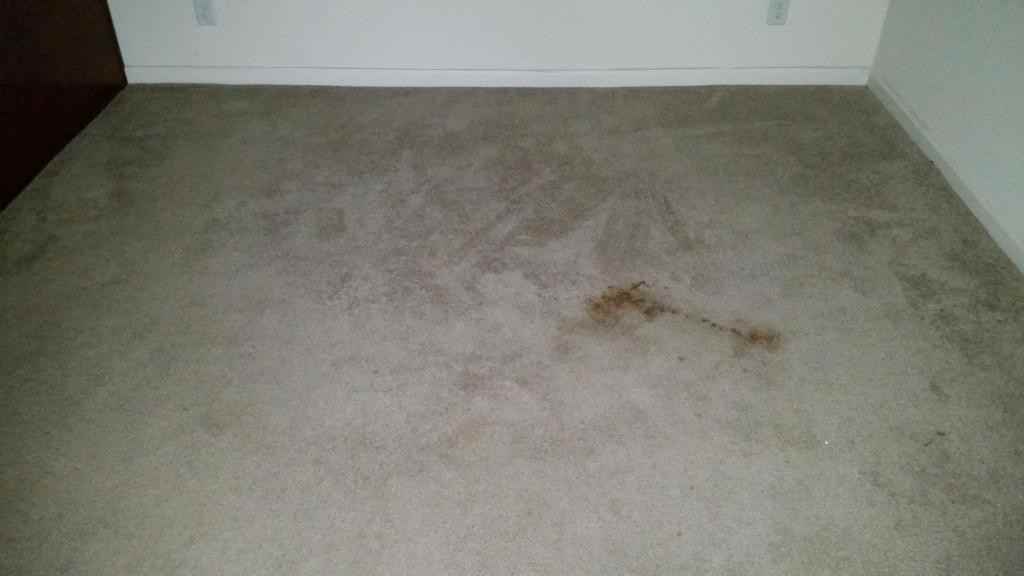 1234 E Main St - Photo 2 of 38