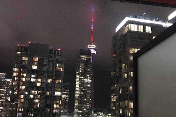 215 Queen Street West #2012