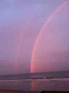 753 Ocean Blvd - Photo 3 of 5