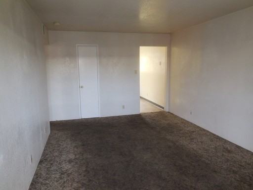 1172 Willow St - Photo 3 of 15