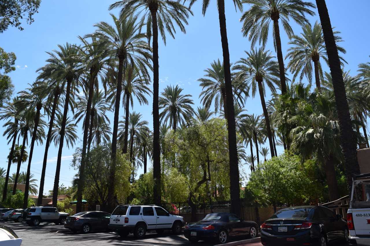 4540 N 44th St 29, Phoenix, AZ 85018 1 Bedroom Apartment for Rent