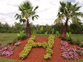 208 Sawgrass Trl - Photo 1 of 1