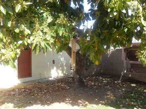 4312 Radnor Ave - Photo 3 of 13