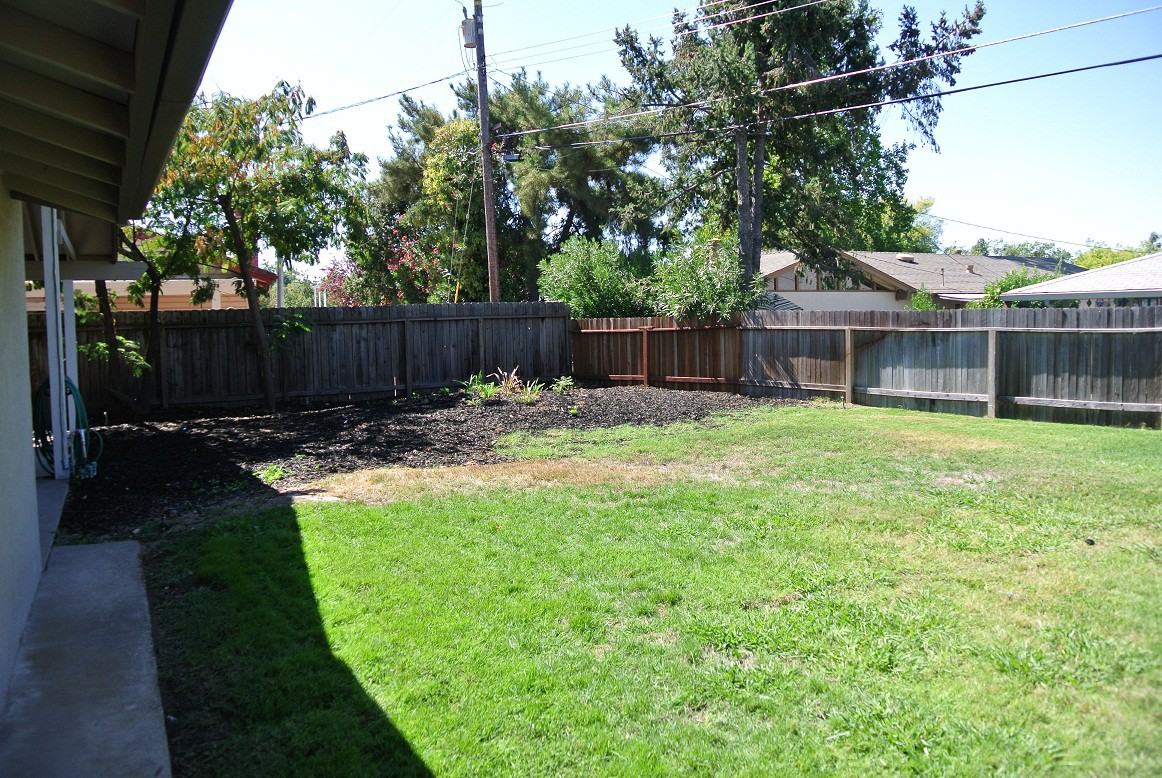 1703 Tanglewood Ln - Photo 2 of 13