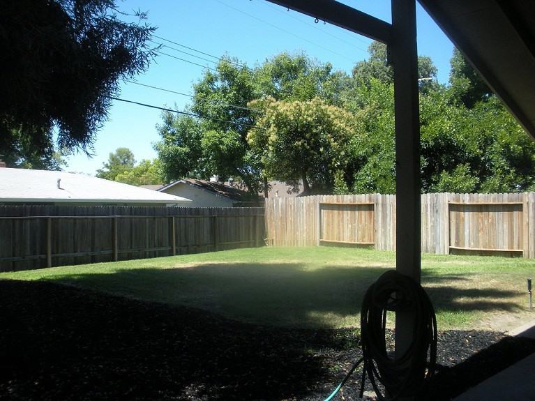 1703 Tanglewood Ln - Photo 3 of 13