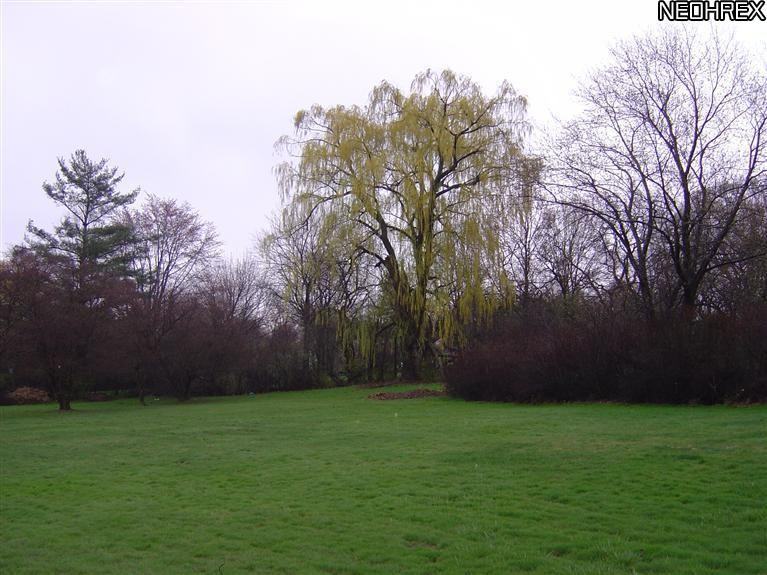 31000 Summit Ln - Photo 3 of 12