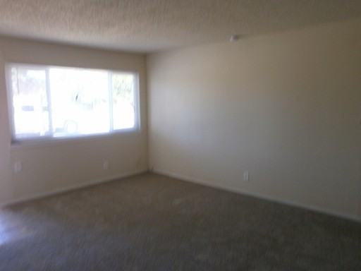 6717 27th St - Photo 3 of 8