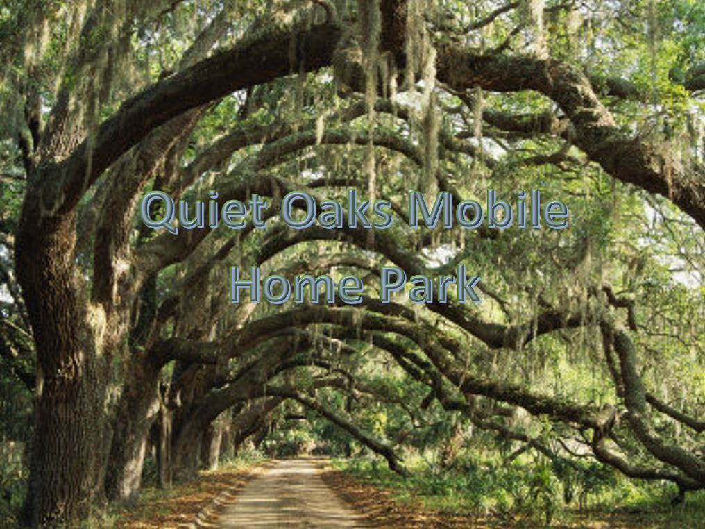 Quiet Oaks Mobile Home Park Apartments 2431 Sapp Rd, Cottondale, FL