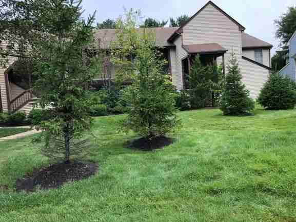 10D Benjamin Franklin Dr - Photo 3 of 6